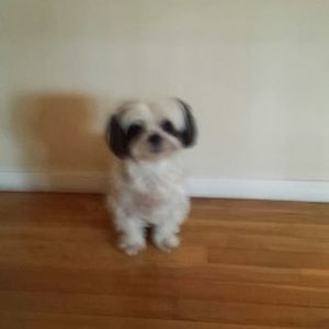 Meet your Posher, Wendy